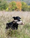 20171007-wcl-0044