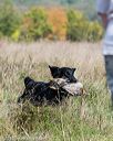20171007-wcl-0045