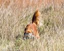 20171007-wcl-0056