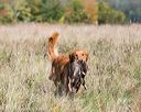 20171007-wcl-0098