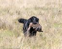 20171007-wcl-0109