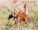 20171007-wcl-0144