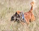 20171007-wcl-0150
