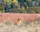 20171007-wcl-0187