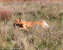 20171007-wcl-0190