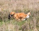 20171007-wcl-0193