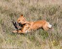 20171007-wcl-0195