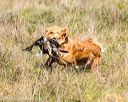 20171007-wcl-0199