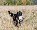 20171007-wcl-0234