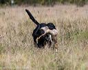 20171007-wcl-0245
