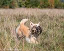 20171007-wcl-0259