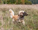 20171007-wcl-0260