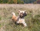 20171007-wcl-0262