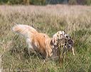 20171007-wcl-0264