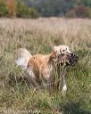 20171007-wcl-0265