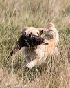 20171007-wcl-0272