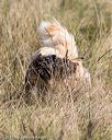 20171007-wcl-0274