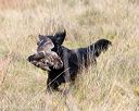 20171007-wcl-0297