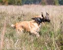 20171007-wcl-0312