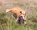 20171007-wcl-0315