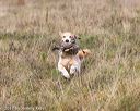 20171007-wcl-0343