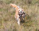 20171007-wcl-0349