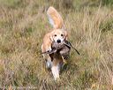 20171007-wcl-0351