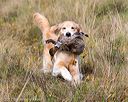 20171007-wcl-0353