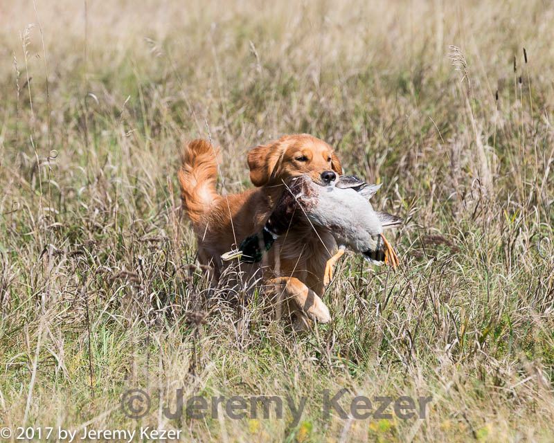 20171007-wcl-0005.jpg