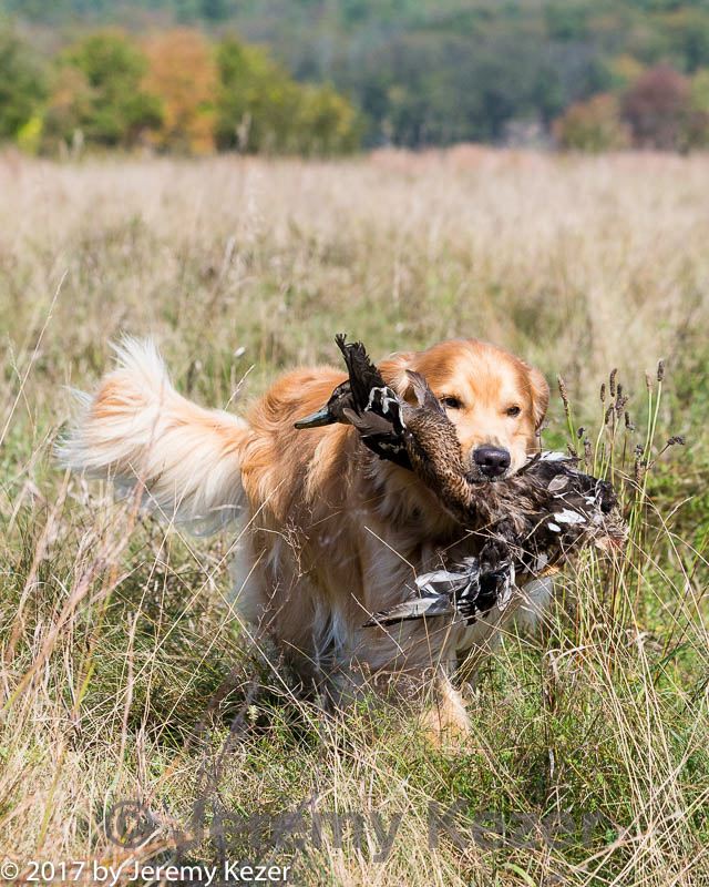 20171007-wcl-0129.jpg