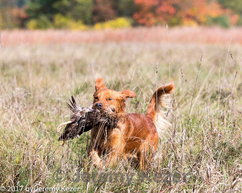 20171007-wcl-0138.jpg