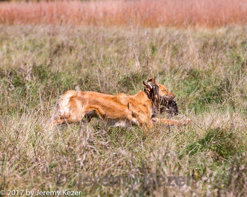 20171007-wcl-0175.jpg