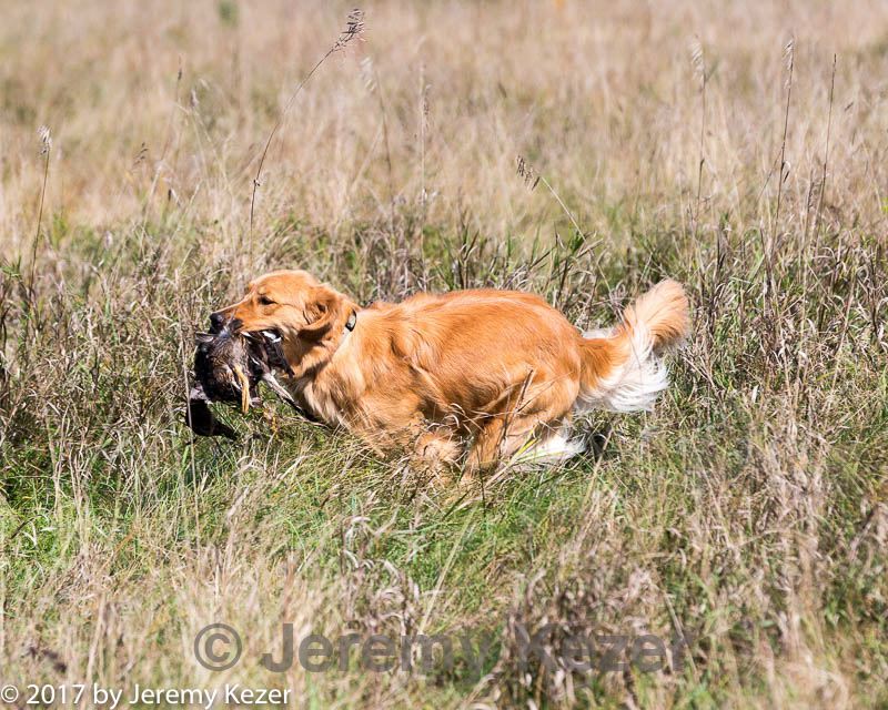 20171007-wcl-0193.jpg