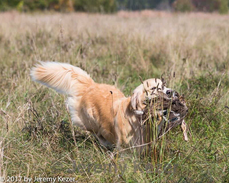 20171007-wcl-0264.jpg