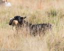 20171007-wcxl-0013