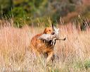 20171007-wcxl-0035