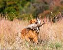 20171007-wcxl-0036