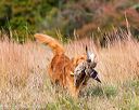 20171007-wcxl-0038