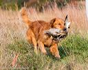 20171007-wcxl-0044