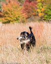 20171007-wcxl-0123