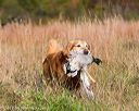 20171007-wcxl-0289