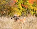 20171007-wcxl-0307