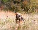 20171007-wcxl-0320