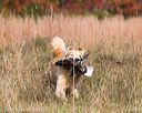 20171007-wcxl-0352