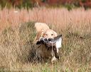 20171007-wcxl-0354