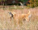 20171007-wcxl-0691