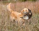 20171007-wcxl-0693