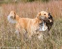 20171007-wcxl-0695