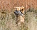 20171007-wcxl-0704