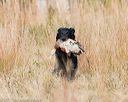 20171007-wcxl-0799